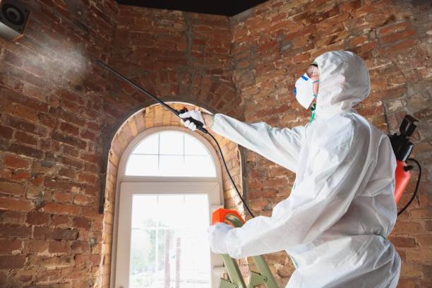 Best Environmental Consulting for Mold Prevention  in Appleton, WI